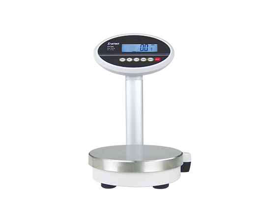 ES-7000 High Accuracy Paint Scale